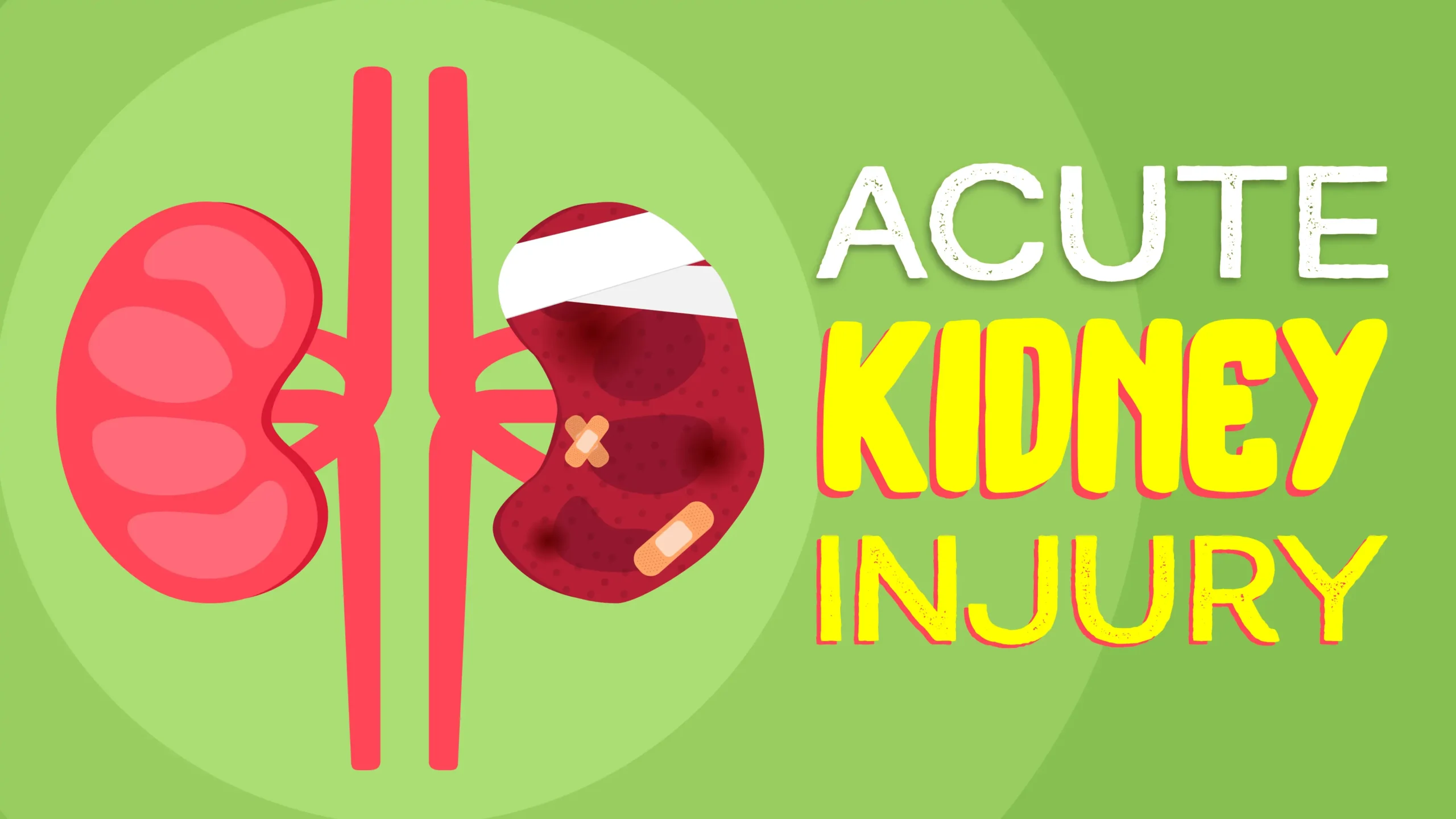 Renal Failure: Acute kidney Injury